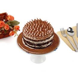 Coffee Shower Cake Buy at ₹599