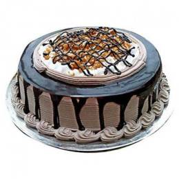 Savory Chocodrip Cake Buy at ₹549