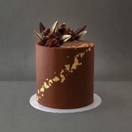 Magical Chocolate Cake Buy at ₹1599