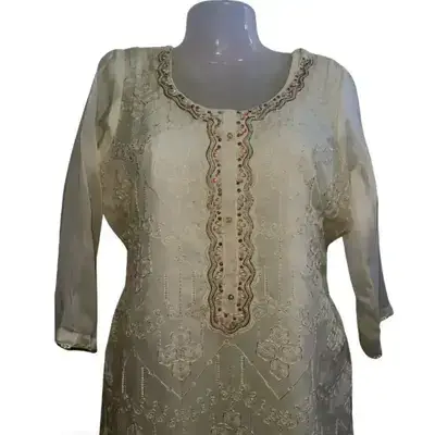 Embroidery Organza Suit  (Demo)