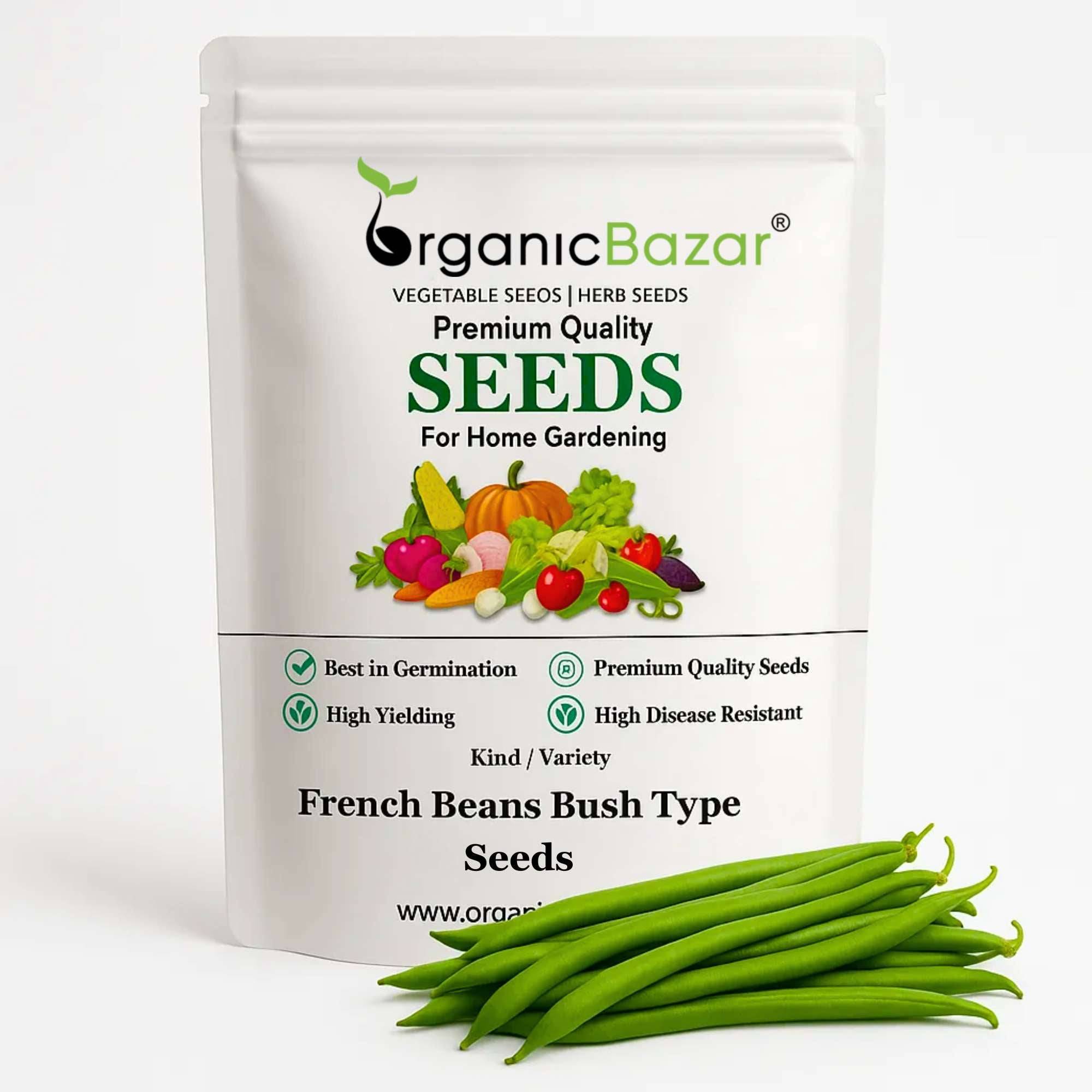 French Beans Bush Type (Dwarf) Seeds - 20 Seeds (फ्रेंच बीन्स के बीज) High Germination, Easy to Grow, High Yield Seeds For Terrace Gardening