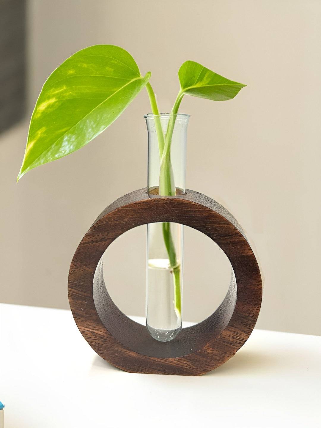 Brown Glass Test Tube With Wooden Donut Holder Vase