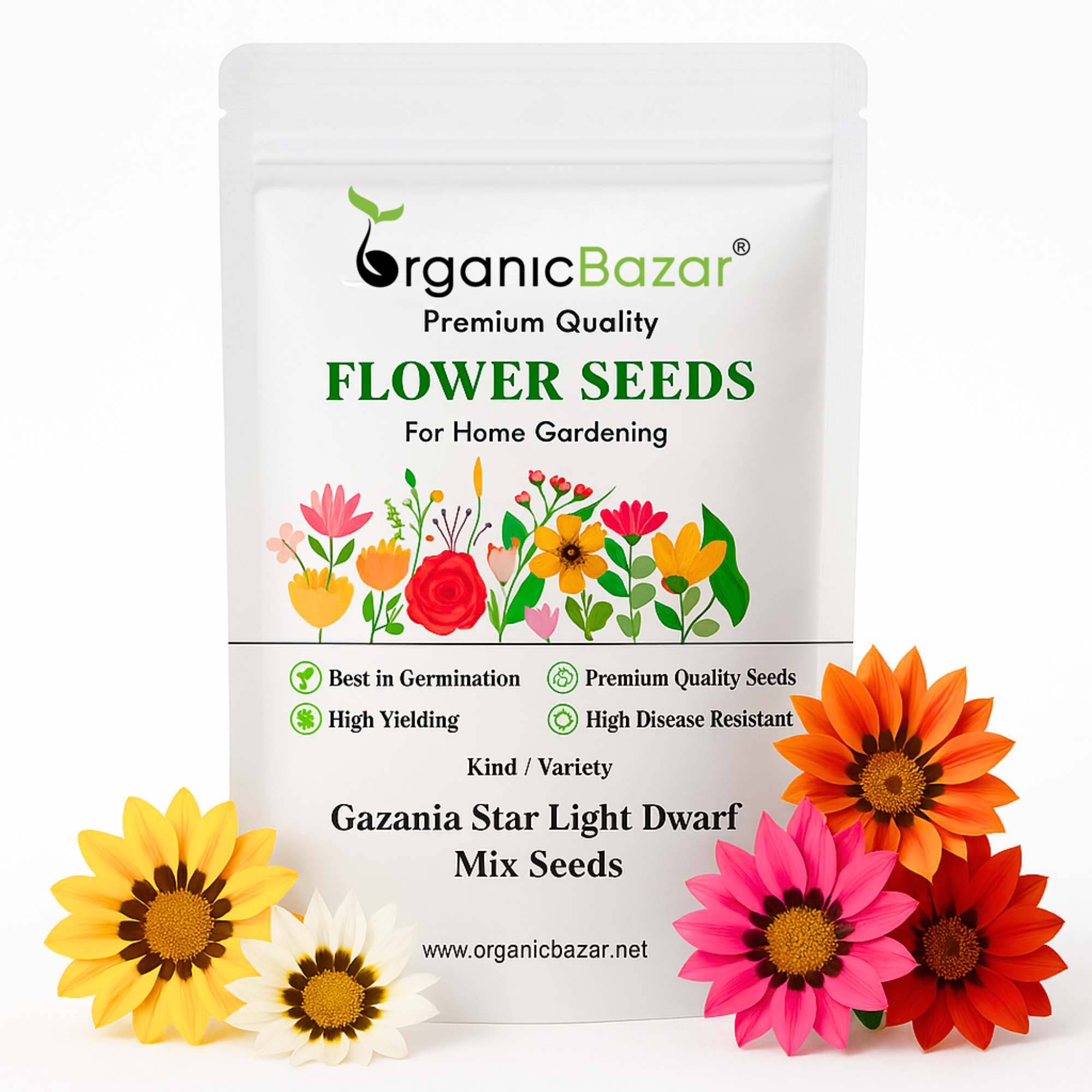 Gazania Star Light Dwarf Mix Seeds (150 Seeds) Easy To Grow, High Germination, Perfect for pots, balconies, or Terrace gardens