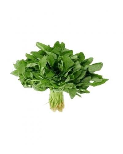 Green Cholai Saag(500 gm) Buy only at ₹45