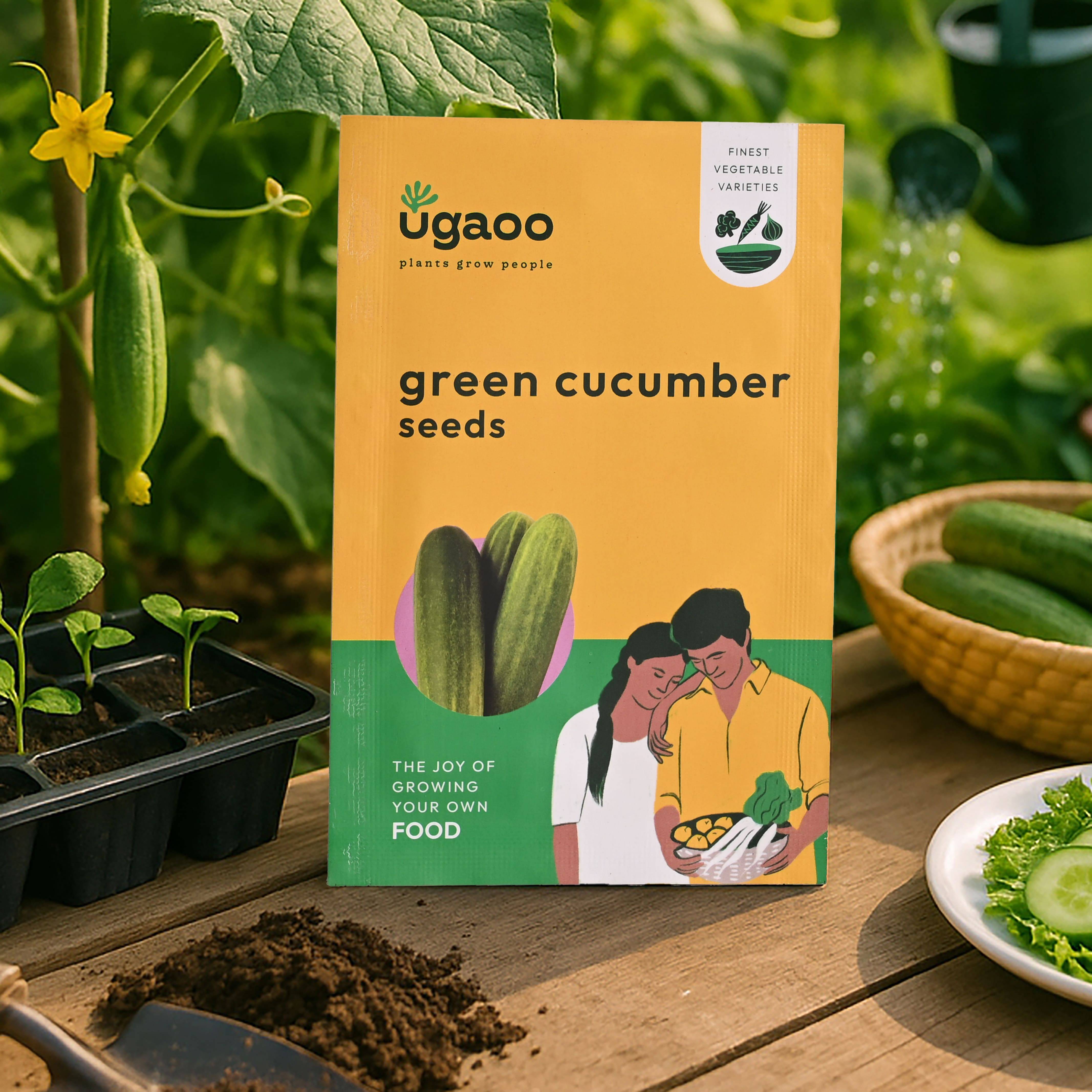 Green Cucumber Seeds (Long)