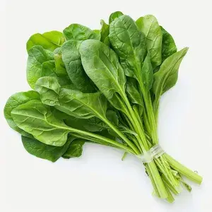 Greenery Nursery® Highly Benefited Spinach Seeds (20-40 Pieces) For Home Garden, Pack Of 1 Buy @ ₹349