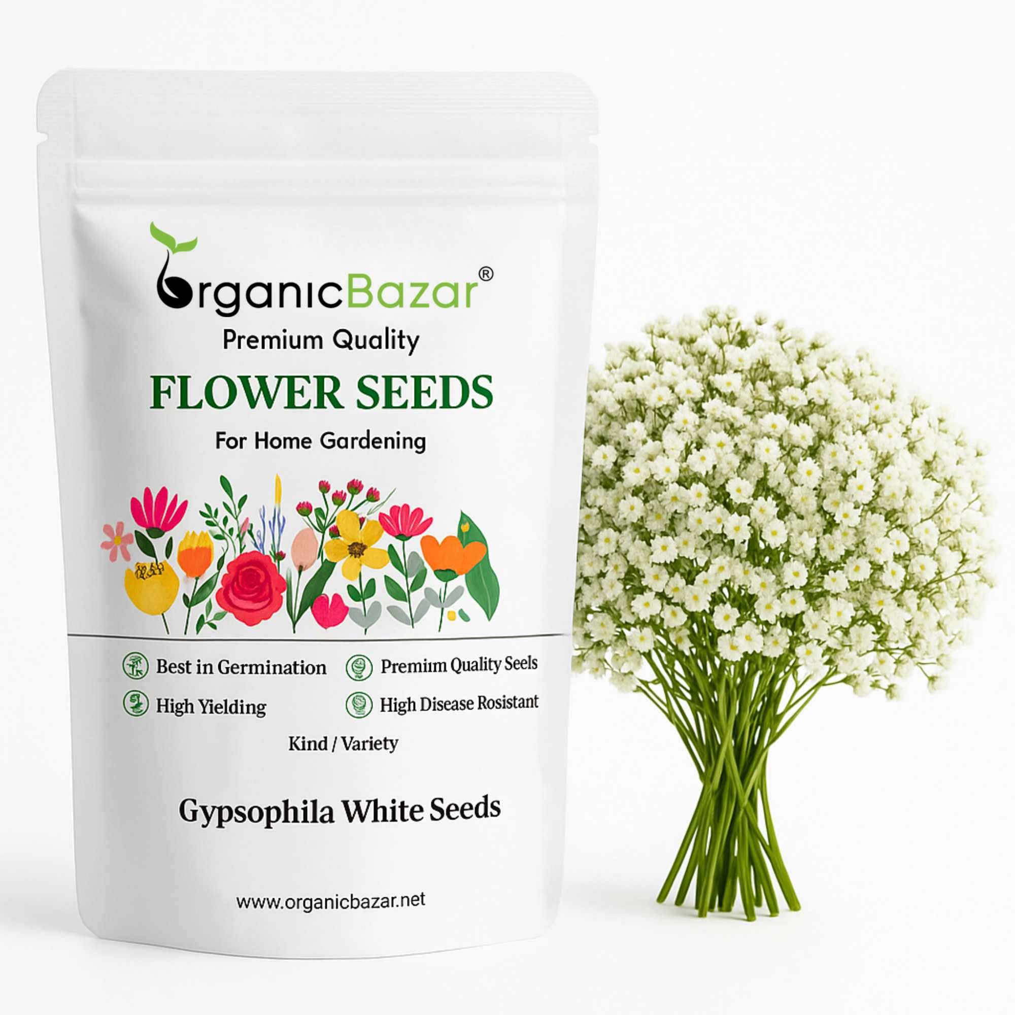Gypsophila White Seeds - (200 Seeds) High Germination/ Easy To grow/ Perfect for pots, balconies, or Terrace gardens