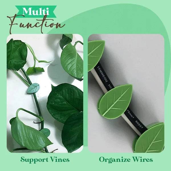 20pcs Leaf Shape Plant Climb, Plant Climbing Wall Fixture Clip Leaf Shape Adhesive Sticker Plant Fixer Binding Clip Invisible Wall Vines Clip Plant, Green Color Buy @ ₹79