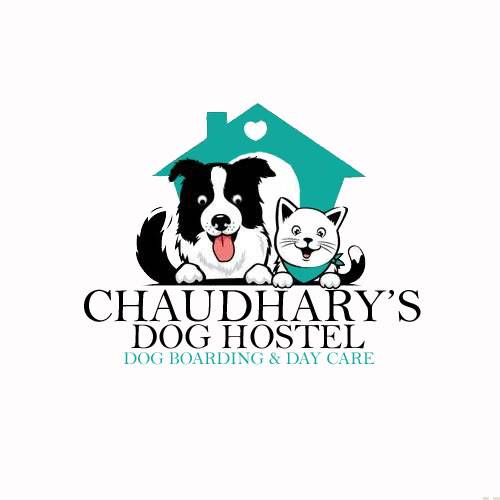 Best Pet Shop