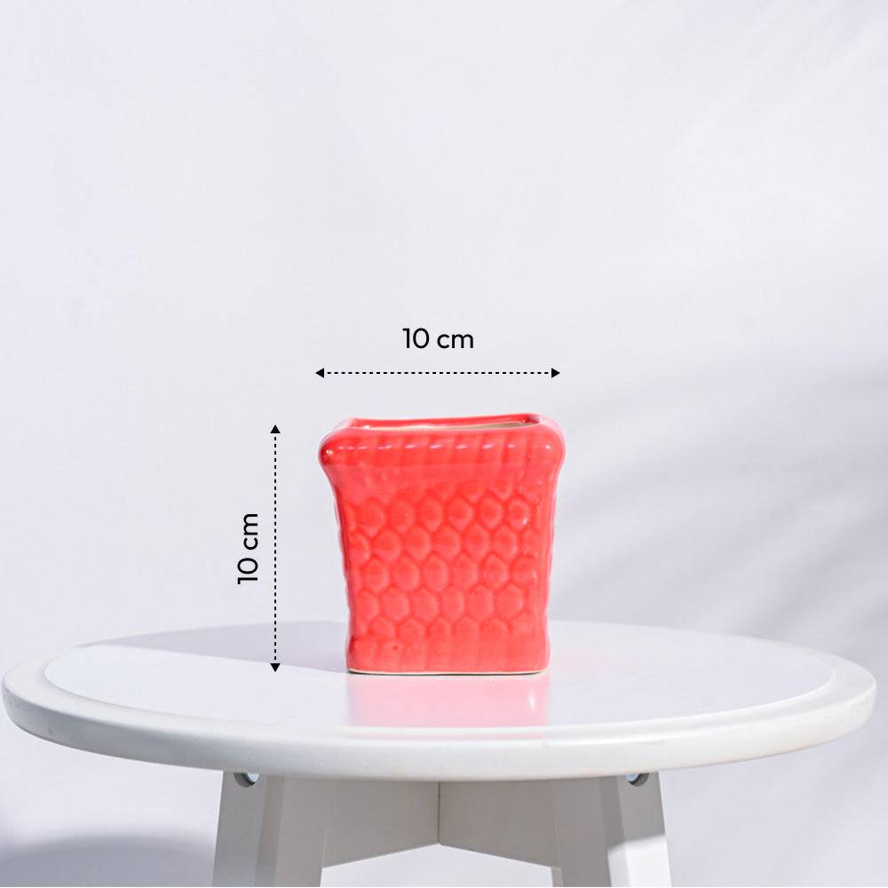 Honeycomb Ceramic Pot (4 Inch Width)