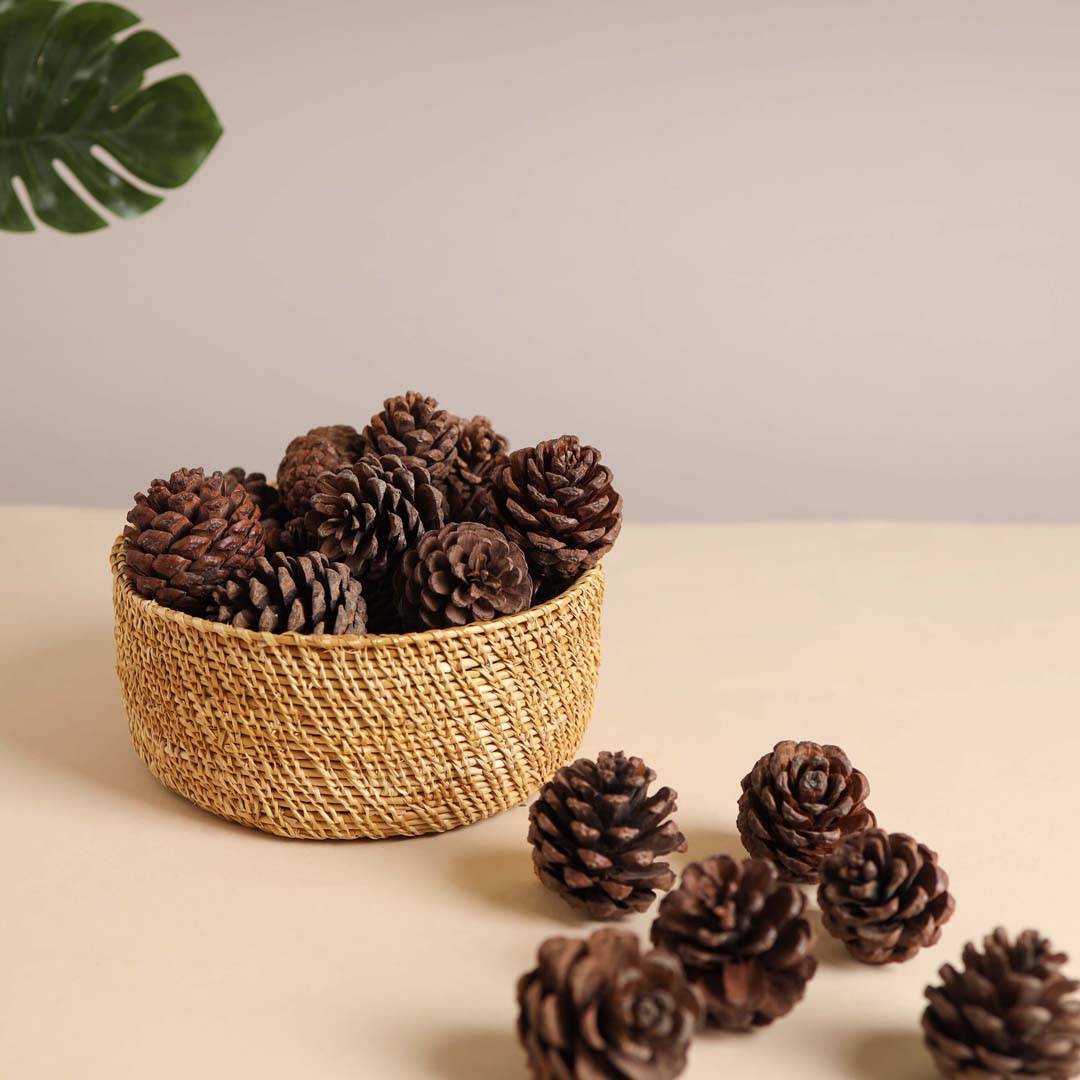 Natural Pine Cones Small