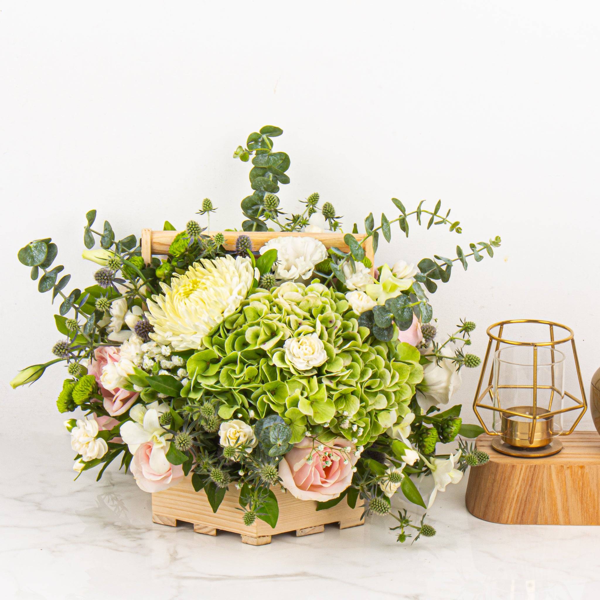 The Caribbean Breeze Buy at ₹3450