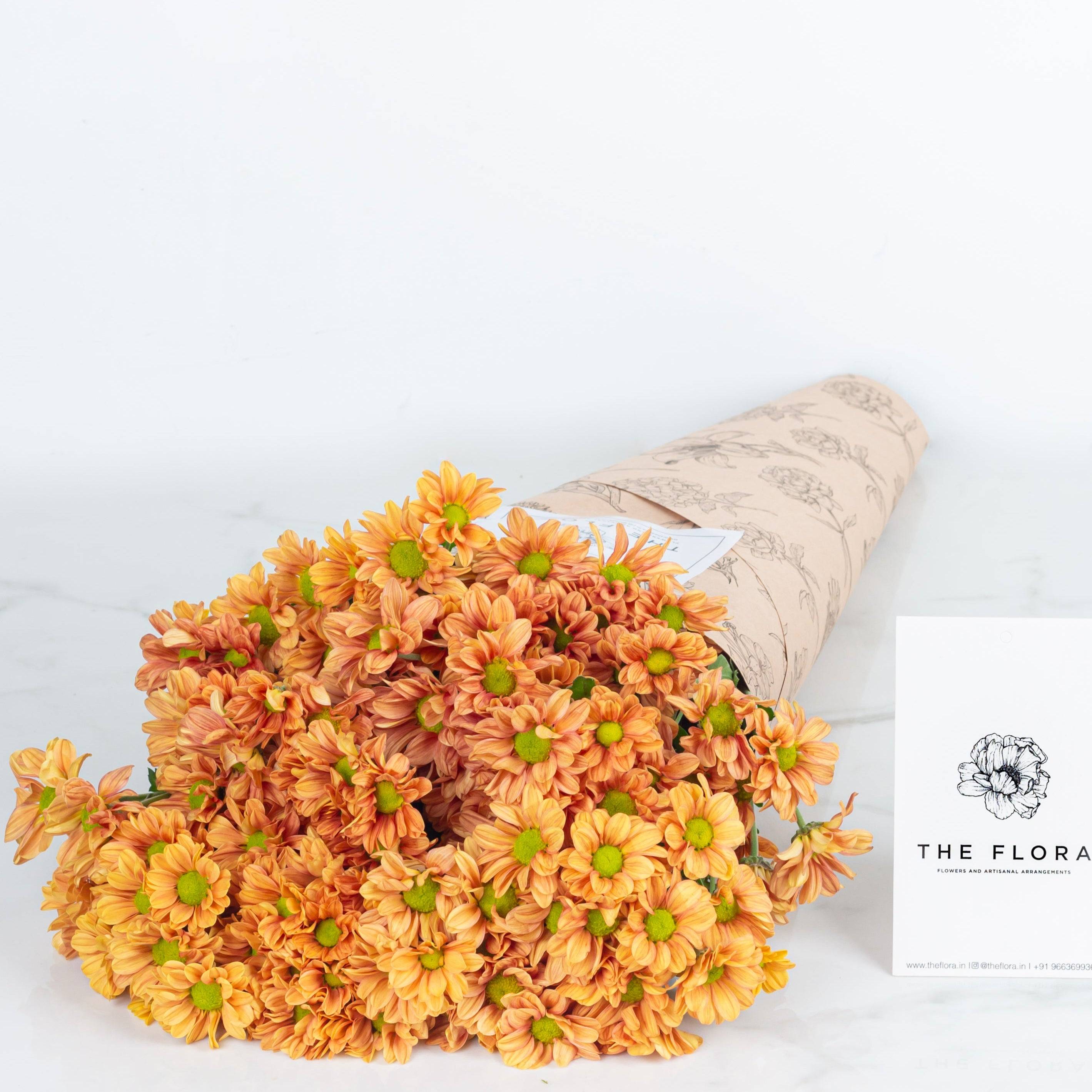 Santini Chrysanthemum Buy at ₹1150