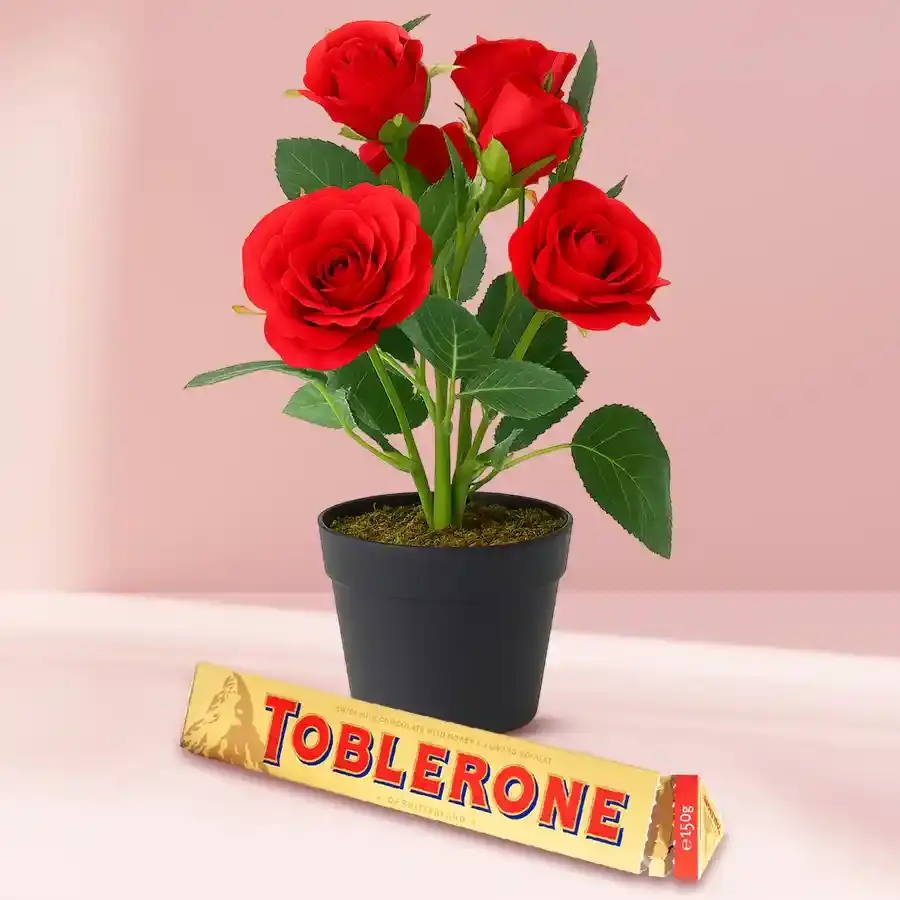 Enchanting Rose Planter with Chocolate