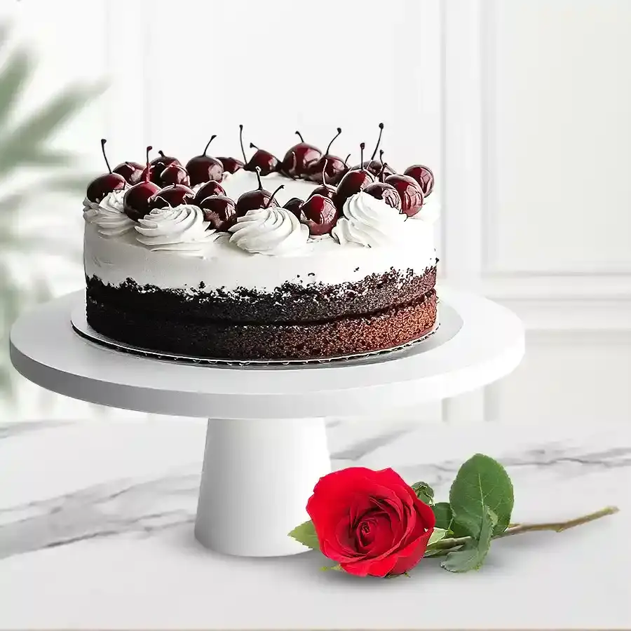 Rich Black Forest Cake & Rose