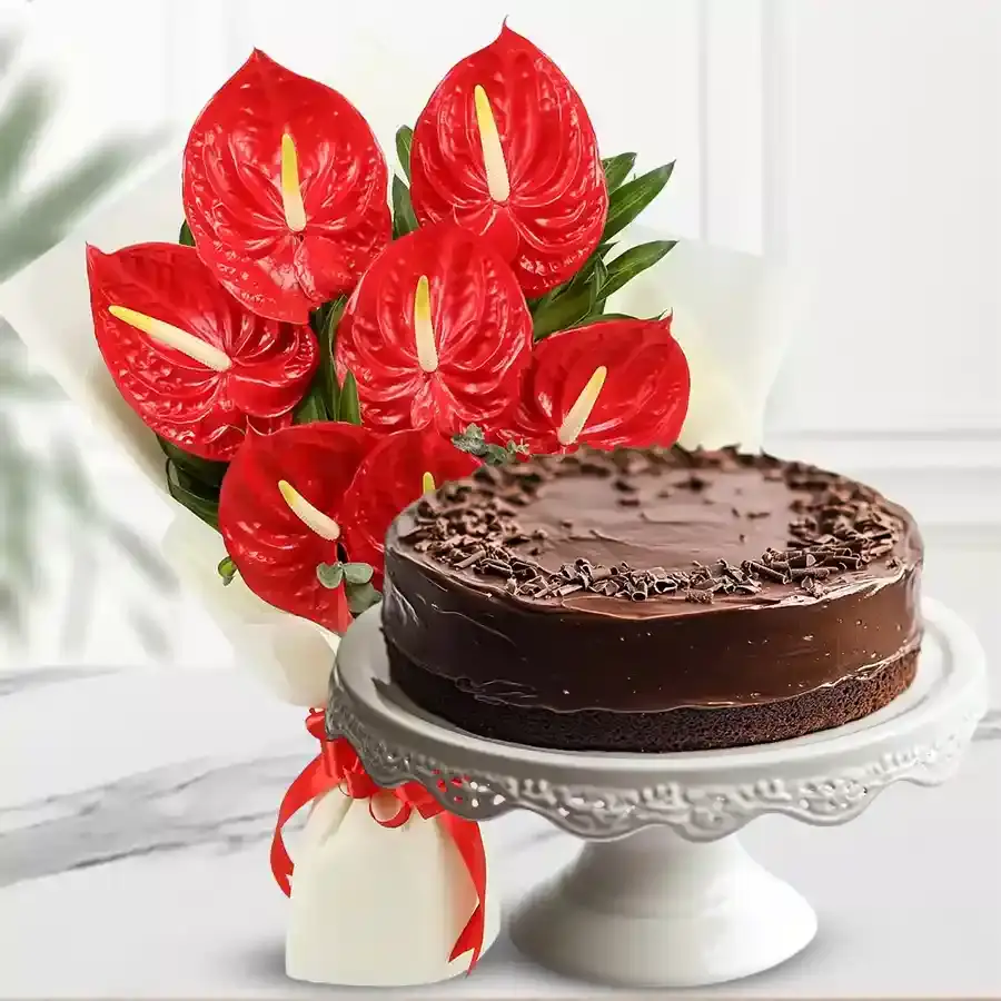 Anthurium Bliss with Chocolate Delight