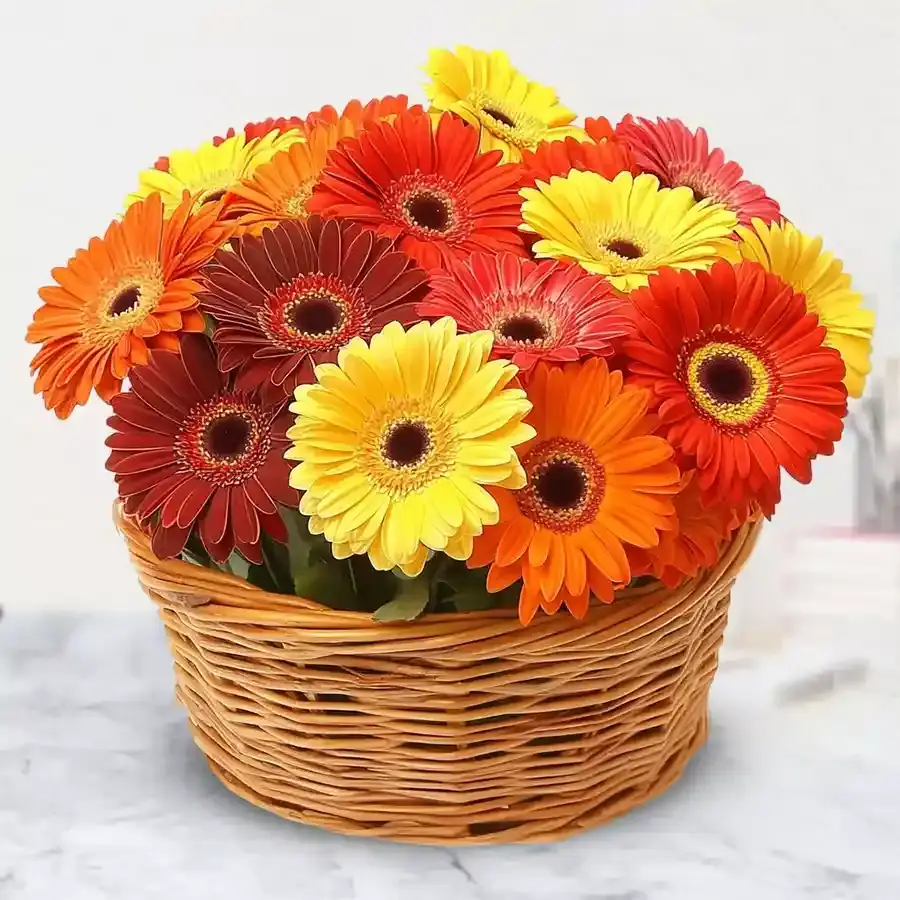 Cheerful Gerbera Gift Basket