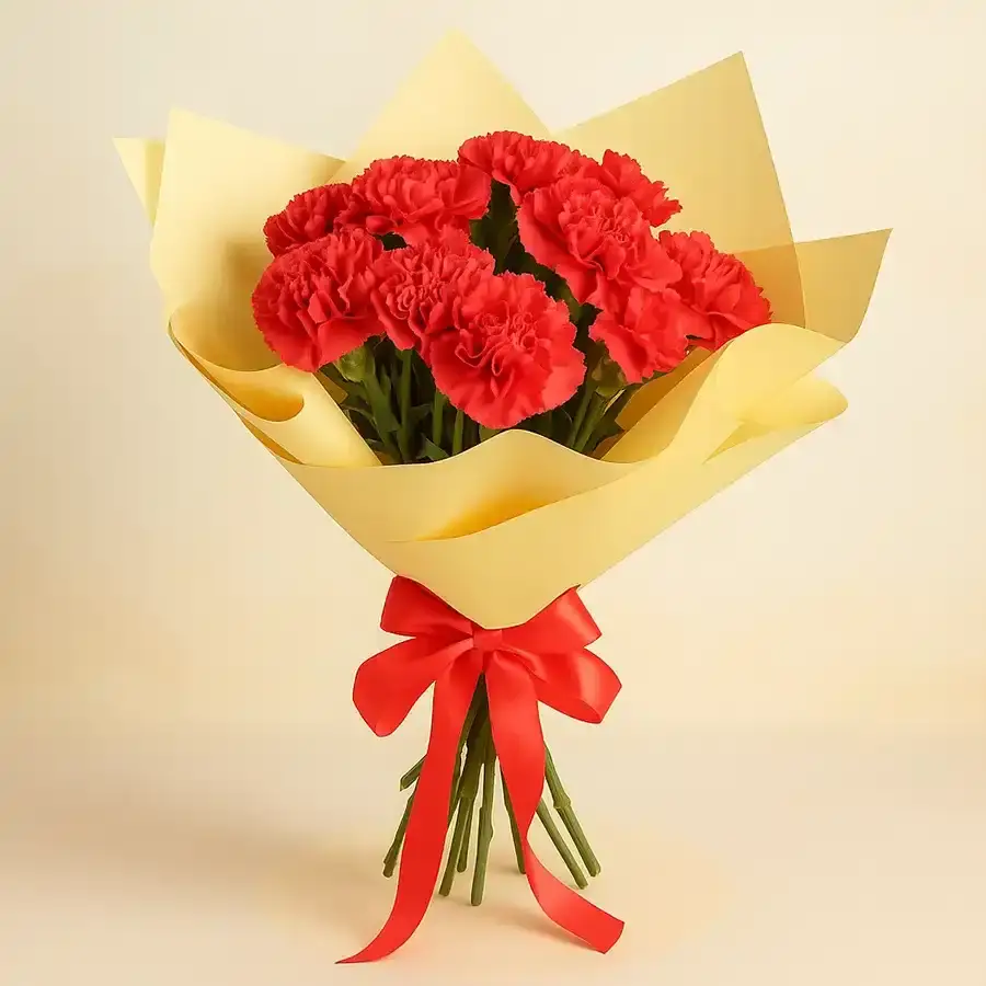 Radiant Red Carnations Ensemble