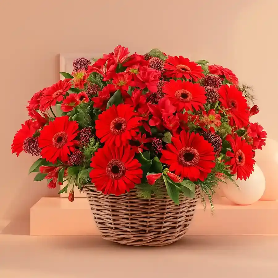 Dazzling Red Gerbera Floral Collection