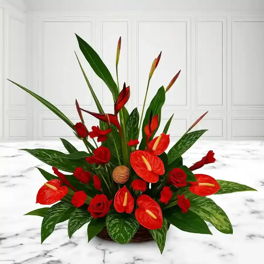 Radiant Anthurium and BOP Delight