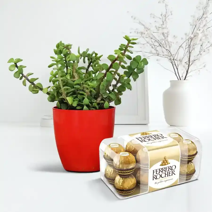 Birthday Bliss: Chocolate and Jade