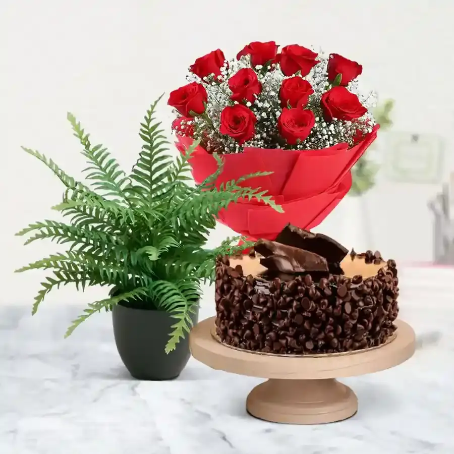 Serendipity: Fern, Cake, and Roses
