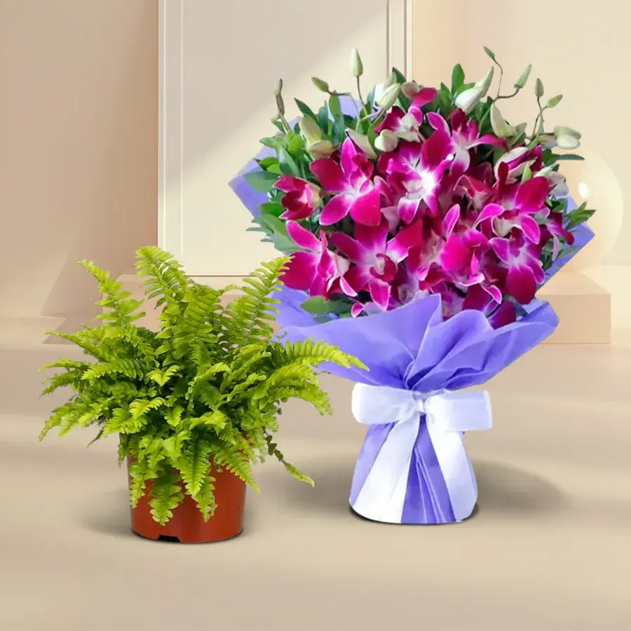 Fern and Orchid Joyful Gift