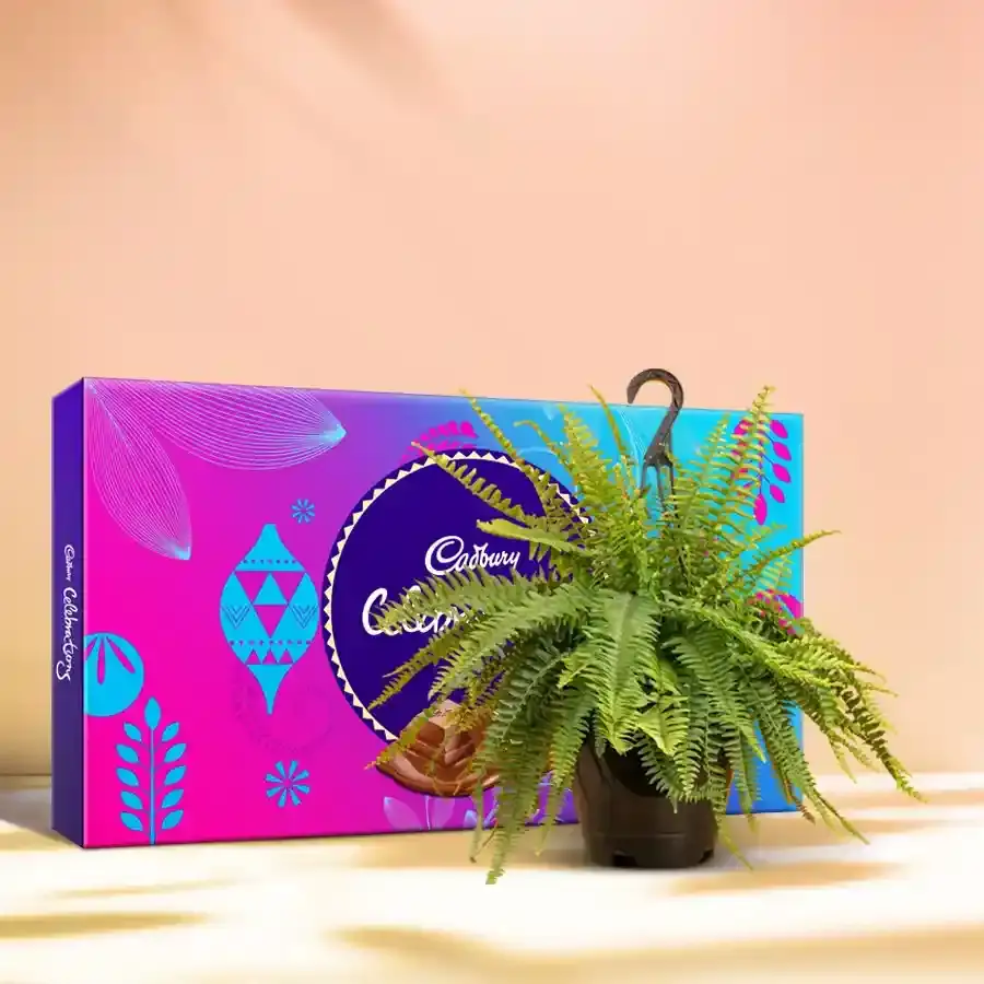 Cozy Fern and Chocolate Bliss