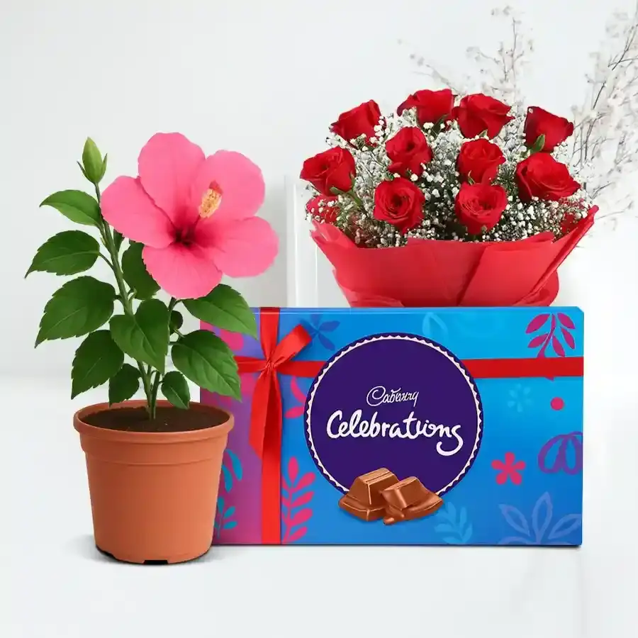 Roses and Chocolates in Bloom
