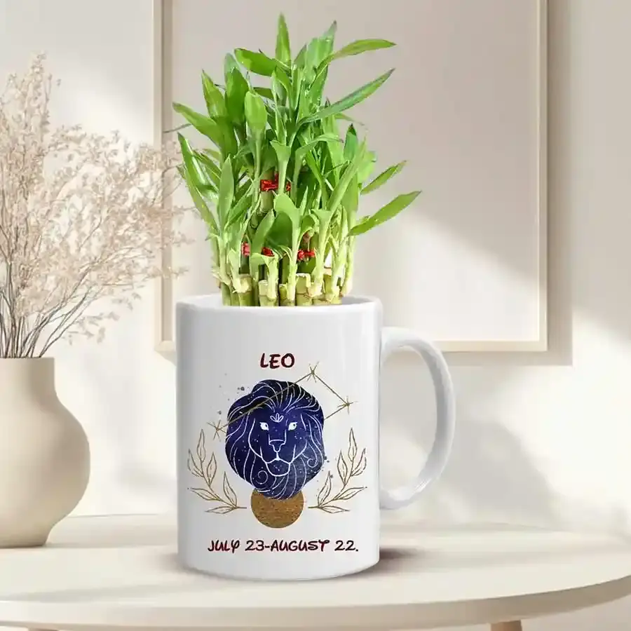 Display of Lucky Bamboo Tree in Sunsign Mug