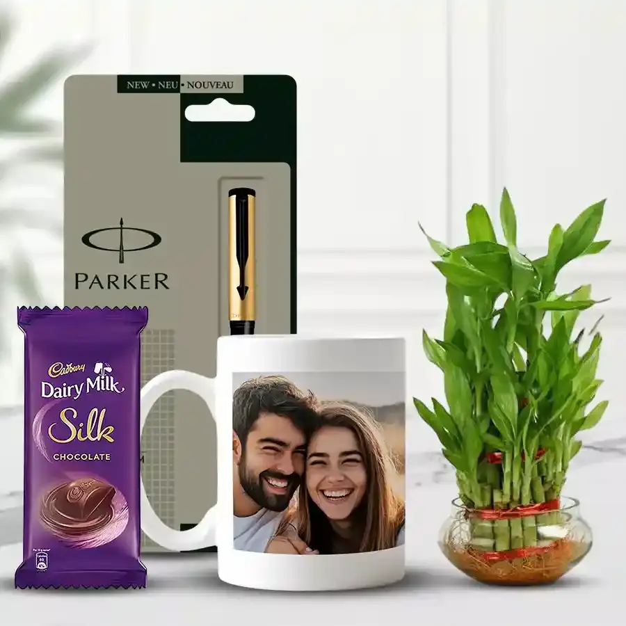 Lucky Bamboo Plant Gifts