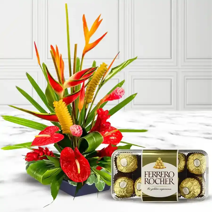 Arrangement of Bird of Paradise and Anthuriums with 16 pcs Ferrero Rocher..