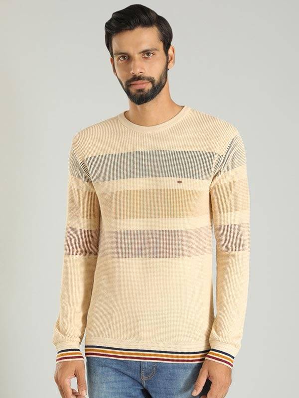Men Striped Full Sleeve Crew Neck Sweater