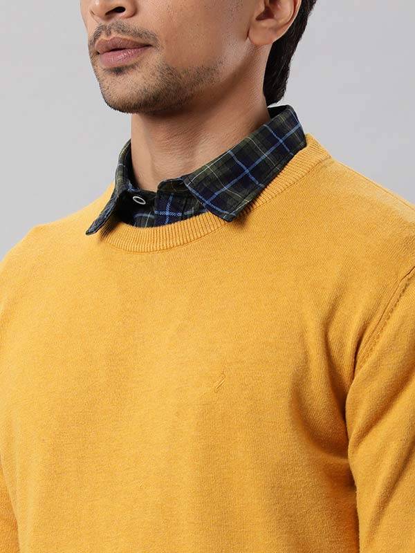 Men Solid Full Sleeve Crew Neck Sweater