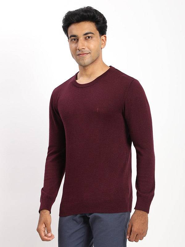 Men Solid Full Sleeve Crew Neck Sweater
