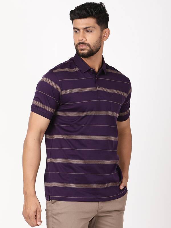 Men Striped Polo T-Shirt