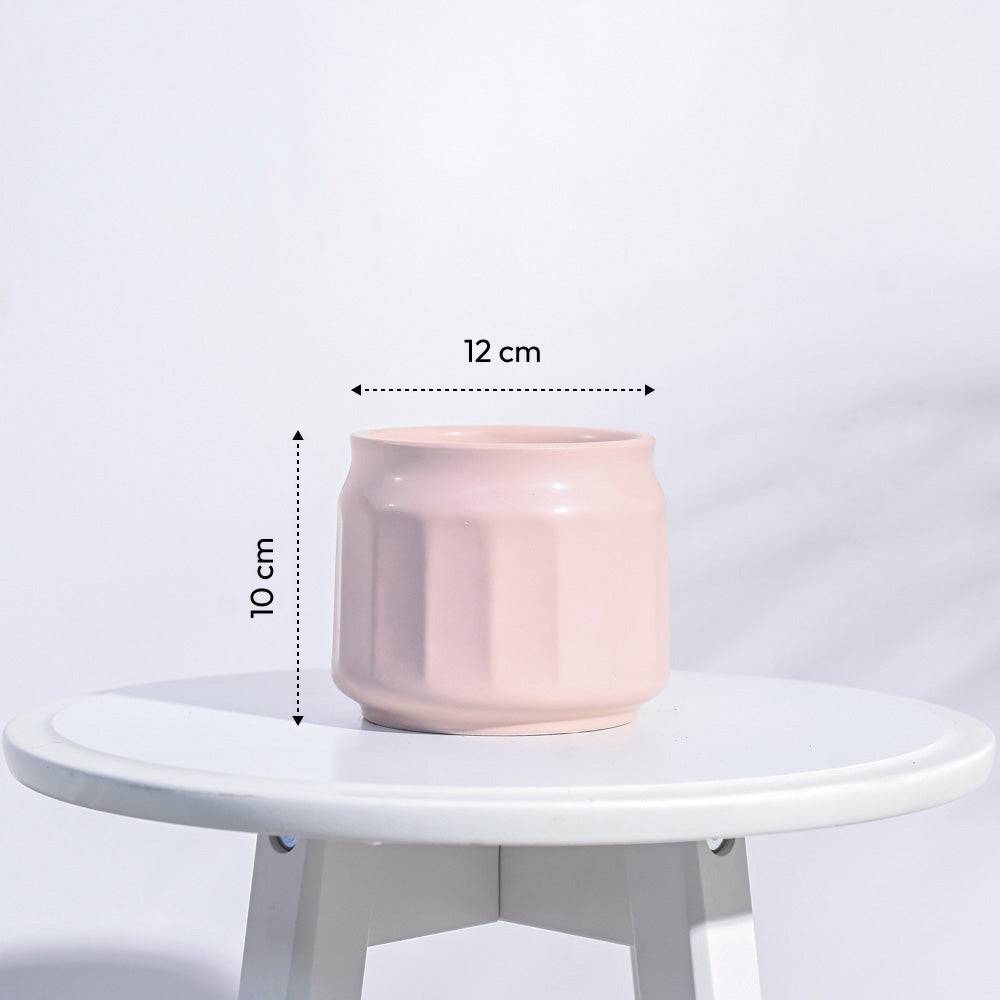 Jar Ceramic Pot