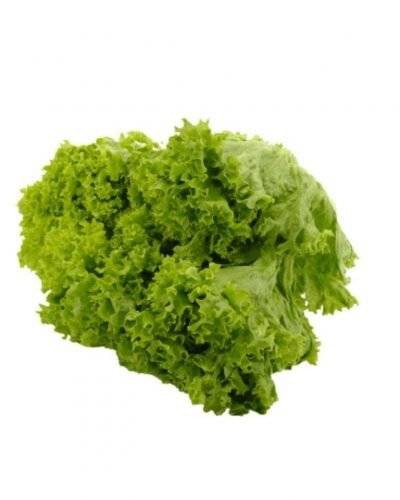 Lettuce Green(250 Gm) Buy only at ₹45