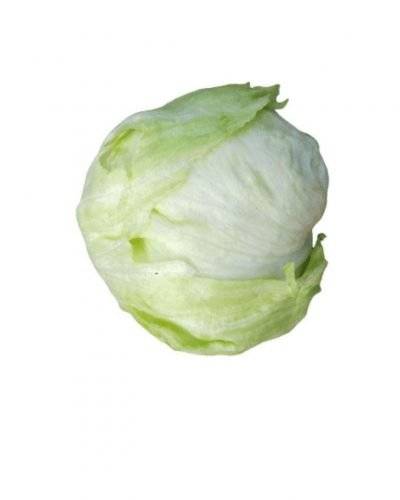 lettuce Icerberg(500 Gm) Buy only at ₹80