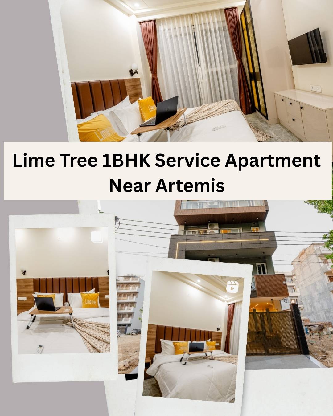 free business listing