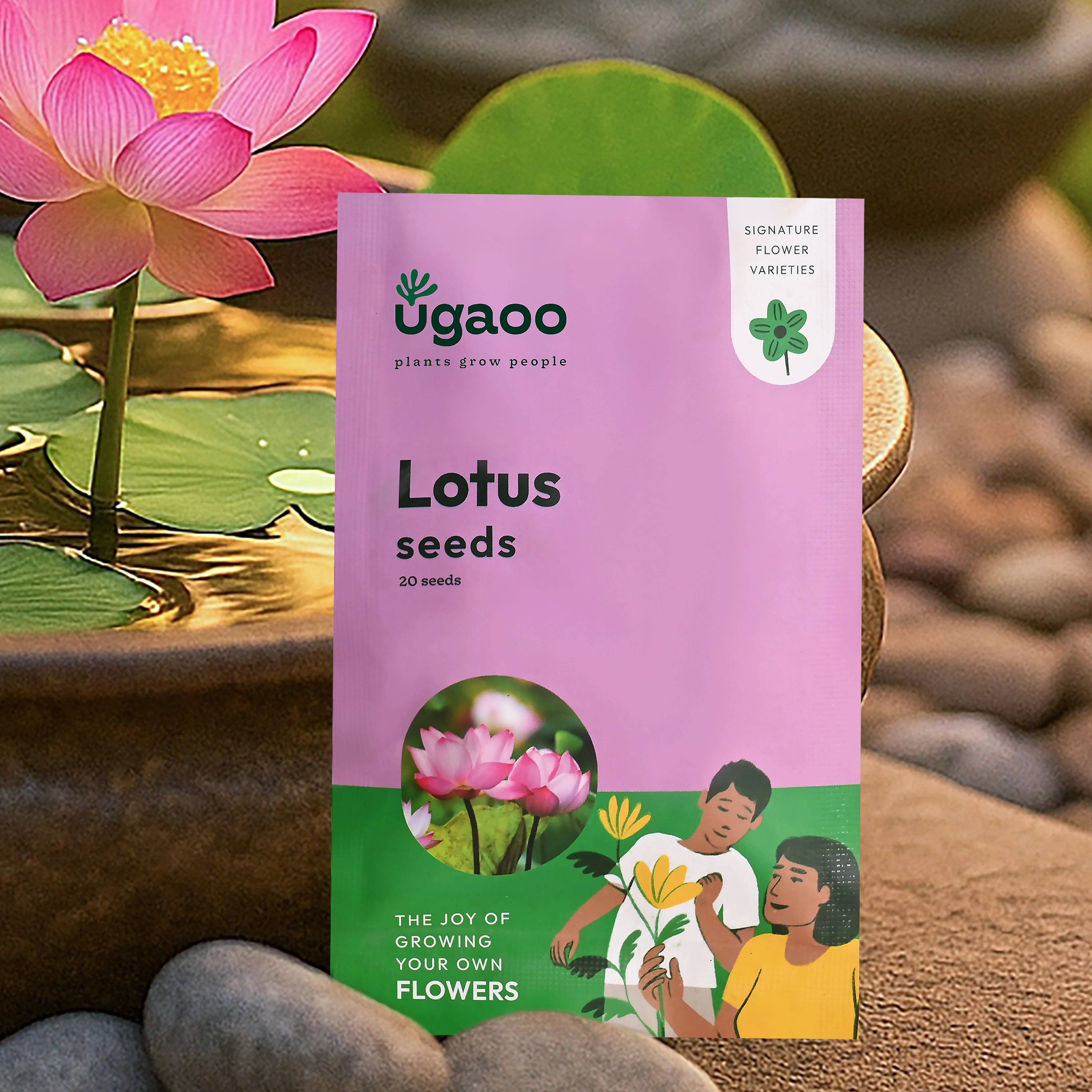 Lotus Seeds