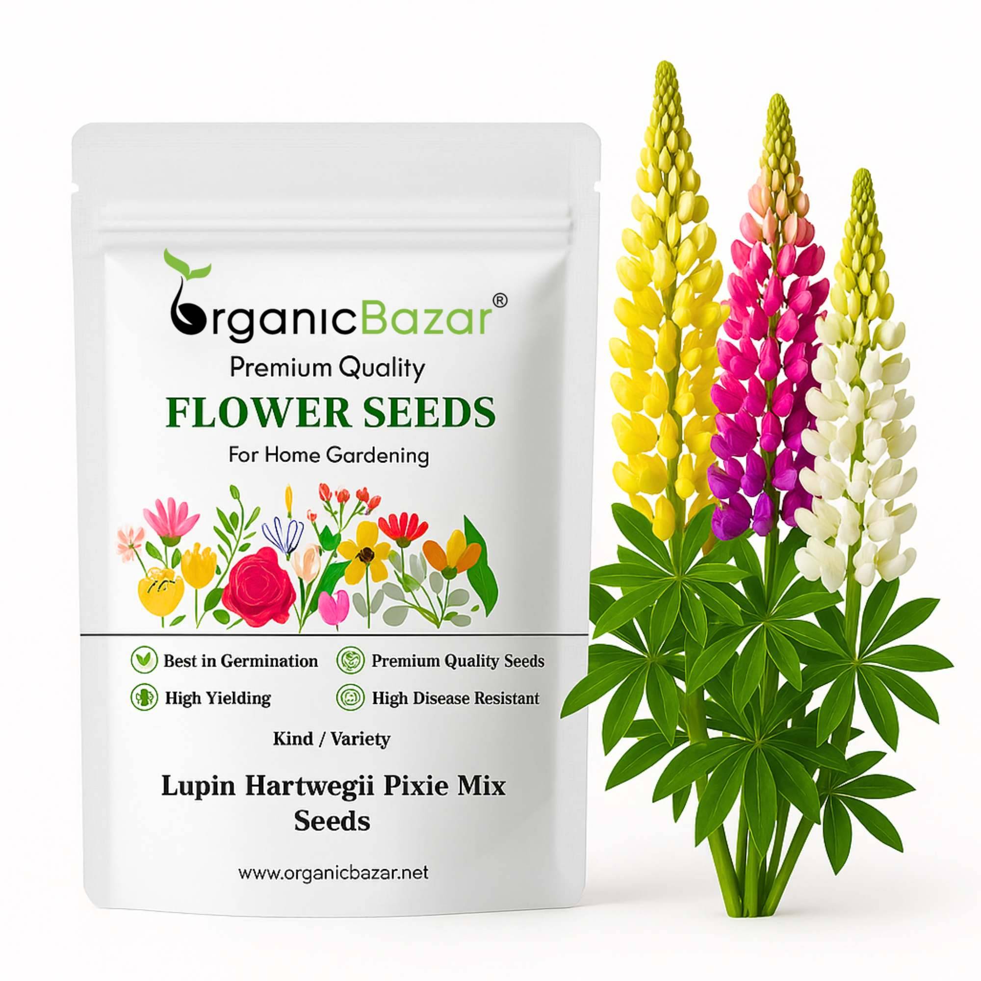 free business listing