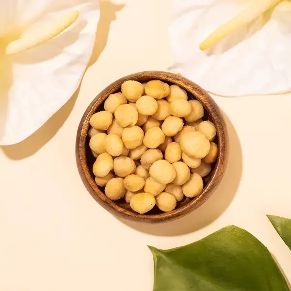 Buy 24k Gold-Leafed Jumbo Macadamias