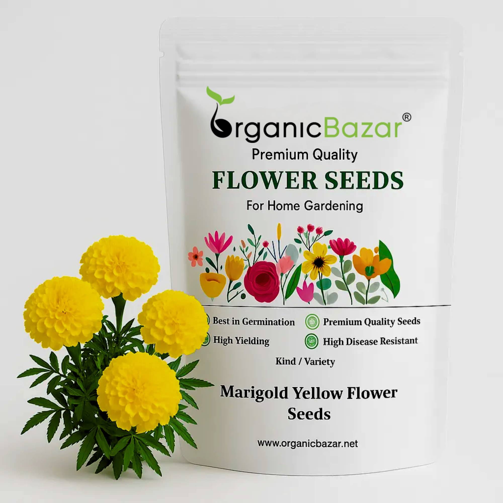 Marigold Yellow Flower Seeds - 100 Seeds (Pila Genda/ पीले गेंदा के बीज) High Germination/ Easy To grow/ Perfect for pots, balconies, or Terrace gardens