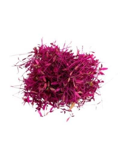 Micro Greens Amaranths (Approx. 20 Gm) Buy only at ₹220