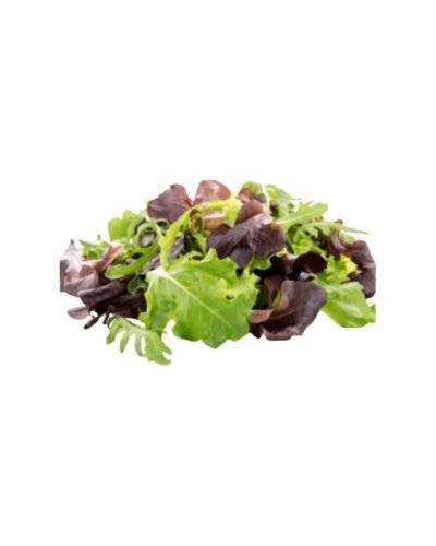 Mix Lettuce (Approx.125 Gm) Buy only at ₹95