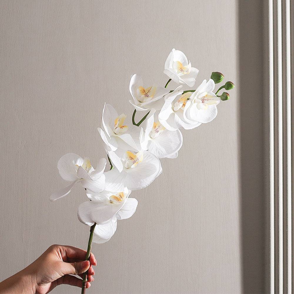 Phalaenopsis Orchid Faux Stem - Ivory