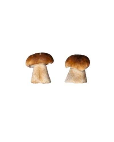 Mushroom Ceps (200Gm) Buy only at ₹300