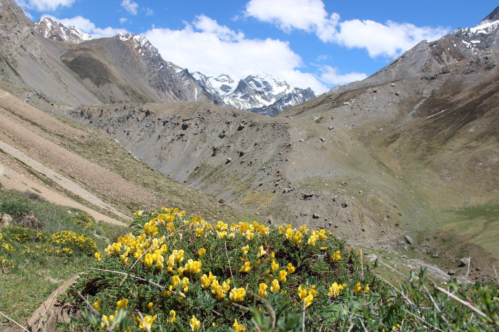 Adi Kailash Om Parvat Tour Yatra