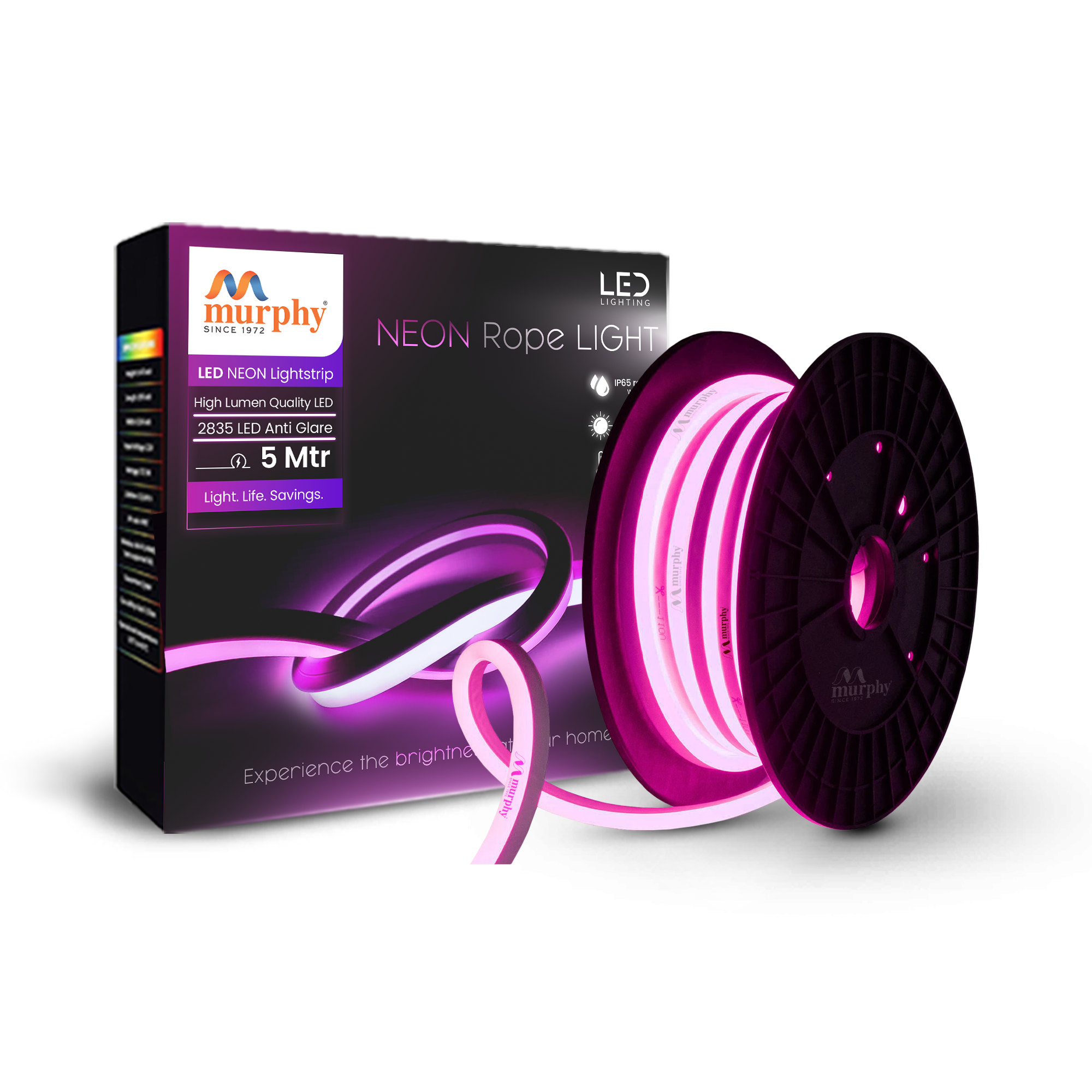 LED 12V DC NEON ROPE LIGHT WITH 2AM DRIVER